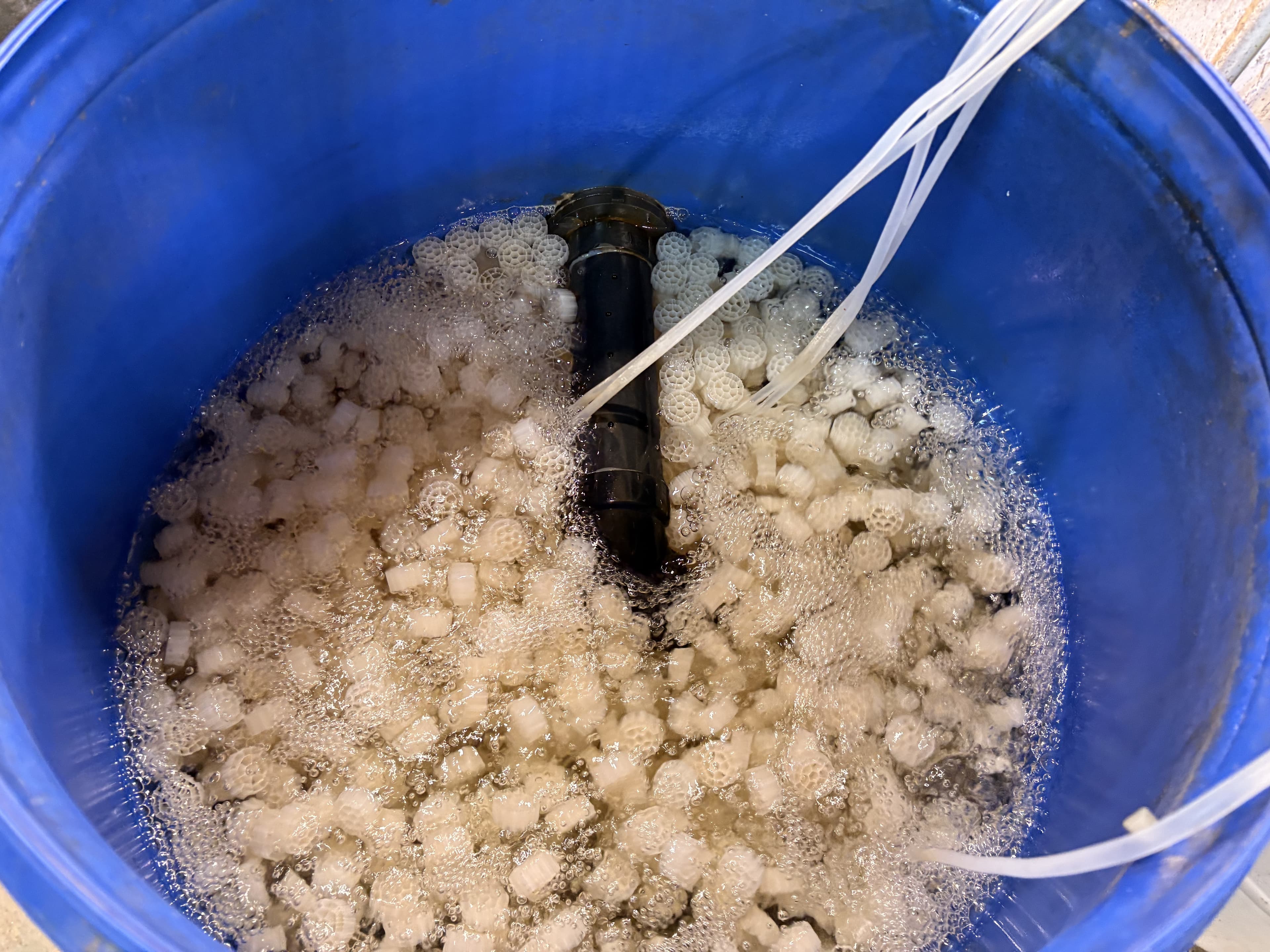Biofilter, biological nitrogen cycle conversion