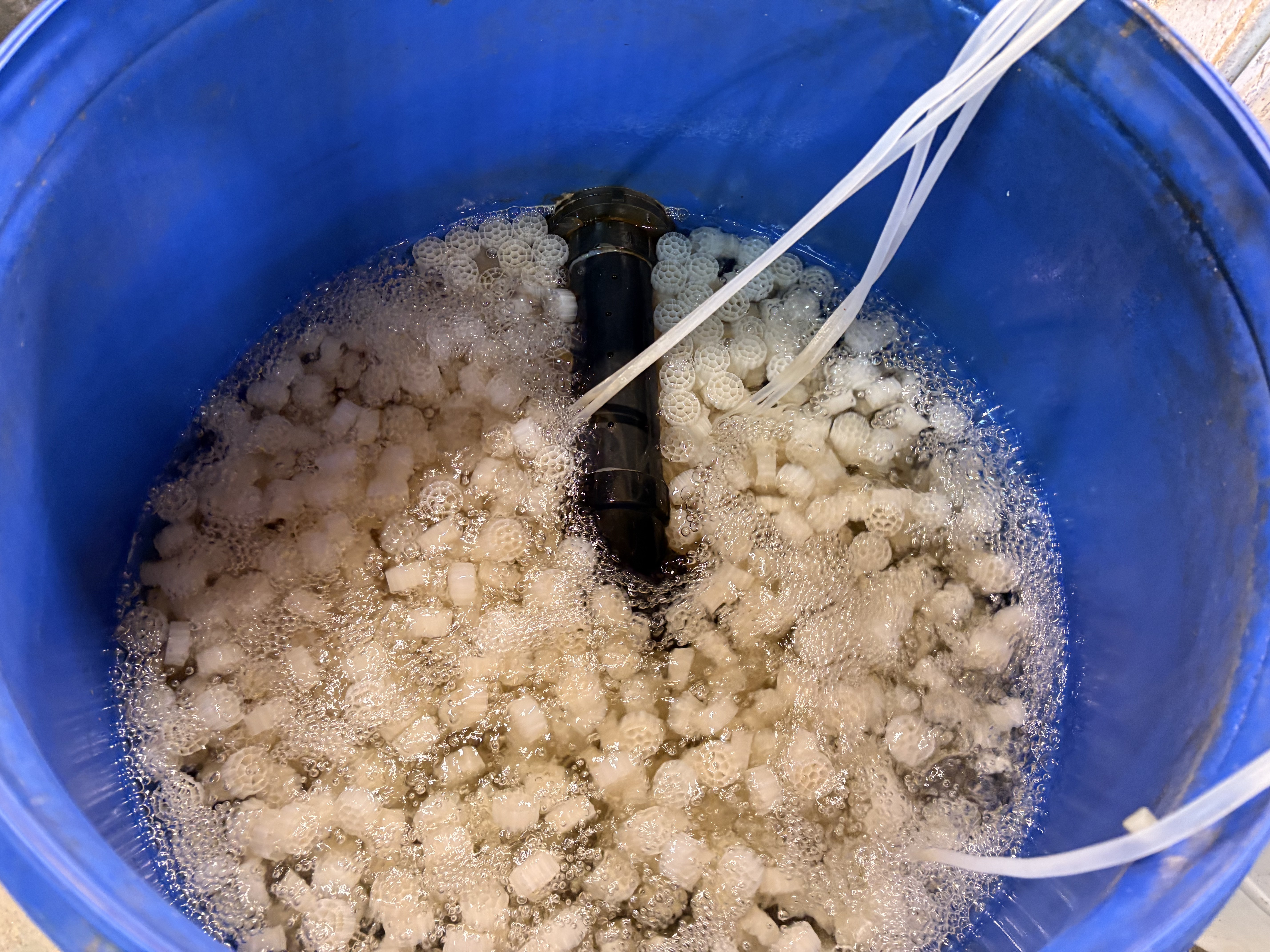 Biofilter, biological nitrogen cycle conversion