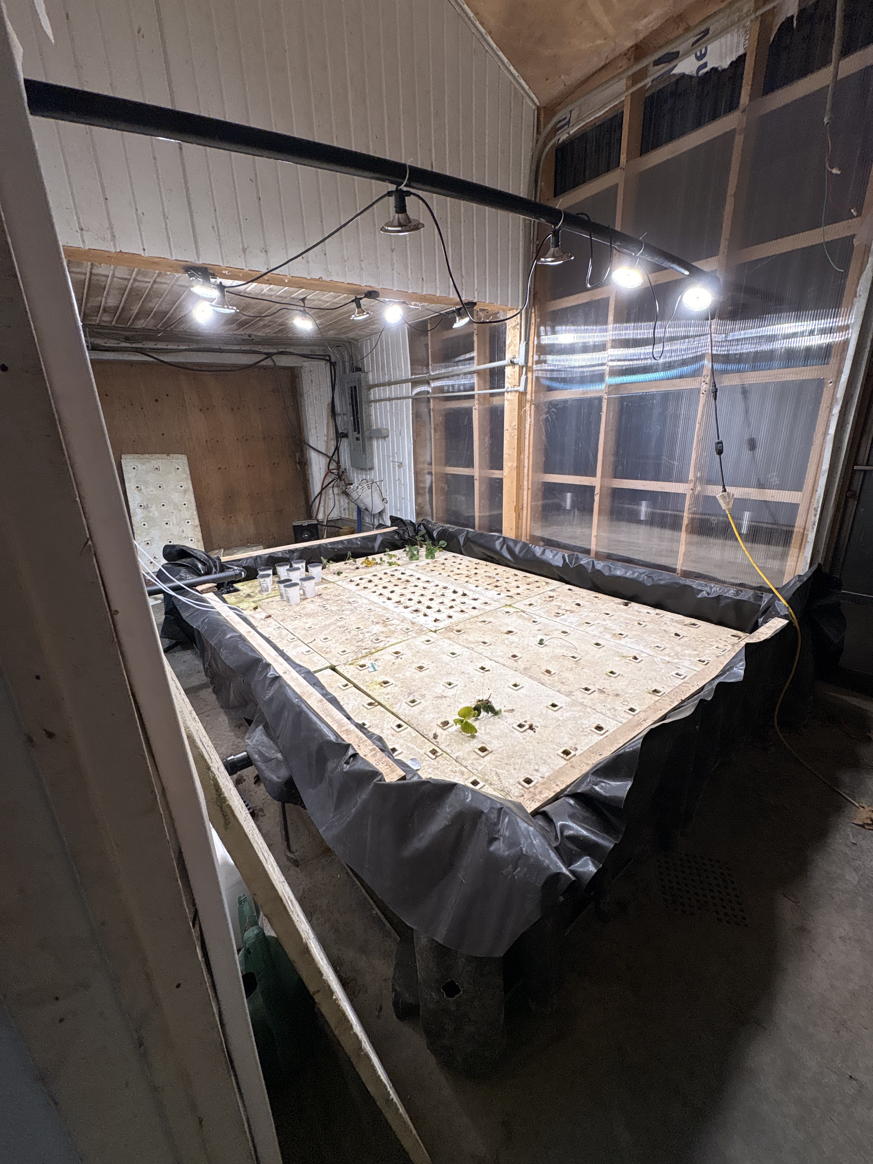Greenhouse with deep water culture, NFT, and flood-and-drain systems